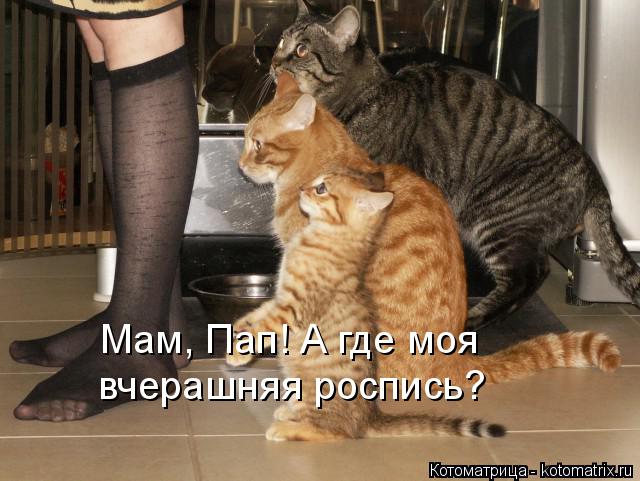 Мам, Пап! А где моя вчерашняя роспись?... Котоматрица: Мам, Пап! А где моя вчерашняя роспись?