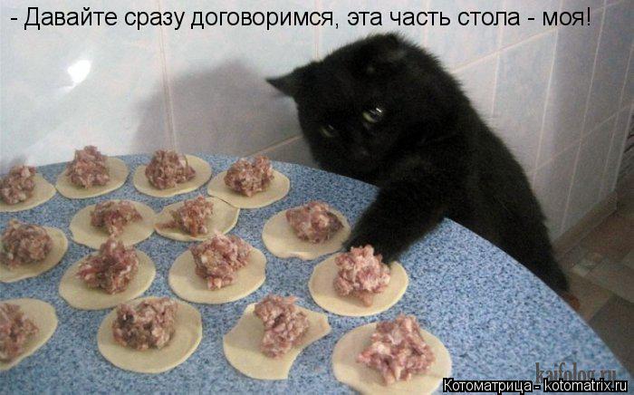 Котоматрица: - Давайте сразу договоримся, эта часть стола - моя!