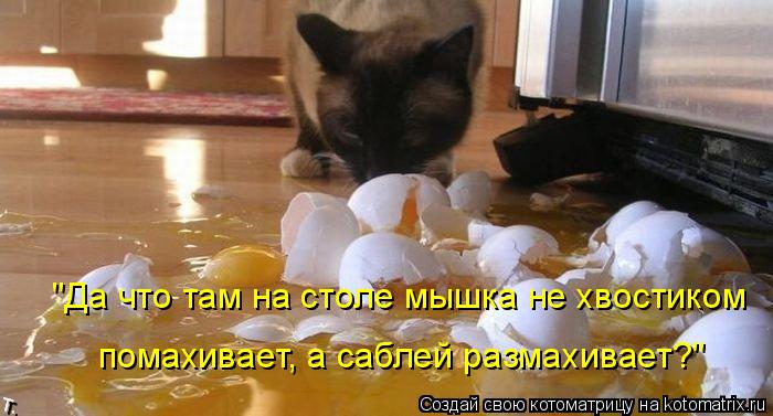 "Да что там на столе мышка не хвостиком помахивает, а саблей размахивает?"... Котоматрица: "Да что там на столе мышка не хвостиком помахивает, а саблей размахивает?"