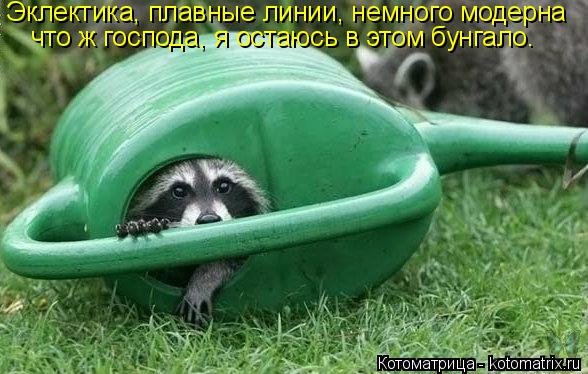 Котоматрица: Эклектика, плавные линии, немного модерна что ж господа, я остаюсь в этом бунгало.