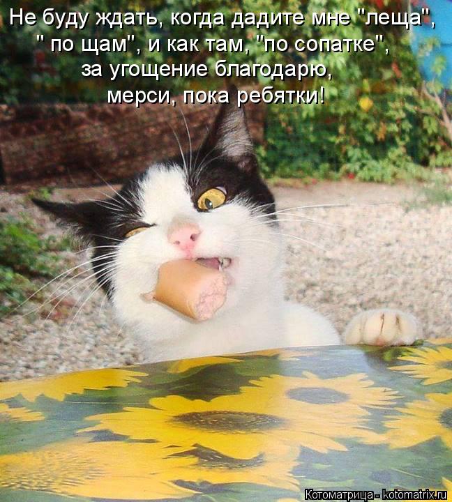 Котоматрица: Не буду ждать, когда дадите мне "леща", " по щам", и как там, "по сопатке", за угощение благодарю, мерси, пока ребятки!