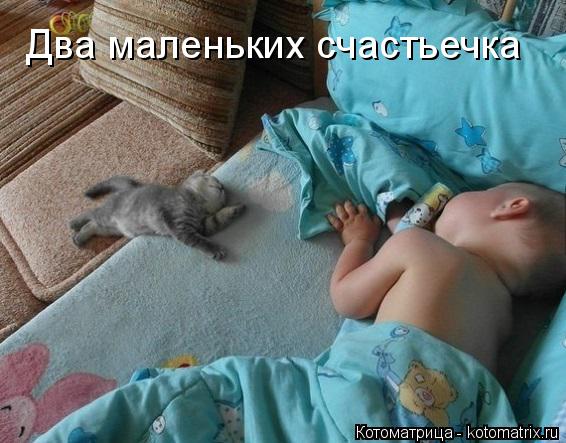 Котоматрица: Два маленьких счастьечка