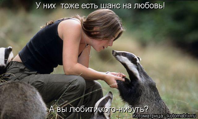 У них тоже есть шанс на любовь! А вы любити кого-нибуть?... Котоматрица: У них тоже есть шанс на любовь! А вы любити кого-нибуть?