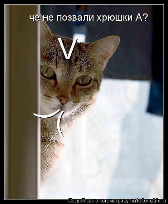 V ( ( чё не позвали хрюшки А?... Котоматрица: V ( ( чё не позвали хрюшки А?