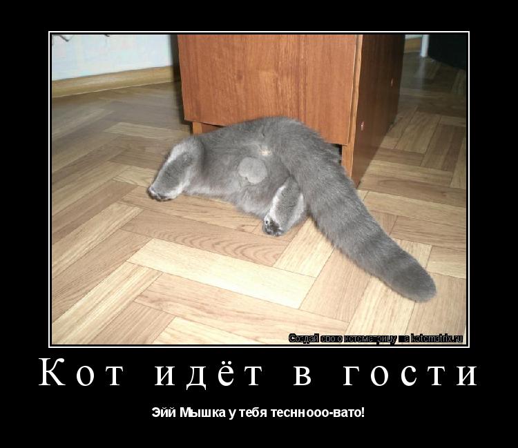 Котоматрица: Кот идёт в гости Эйй Мышка у тебя тесннооо-вато!