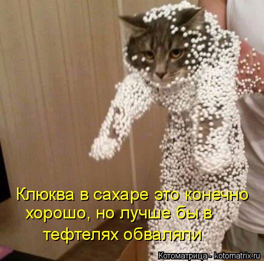 Котоматрица: Клюква в сахаре это конечно  хорошо, но лучше бы в тефтелях обваляли