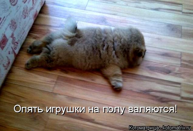 Котоматрица: Опять игрушки на полу валяются!
