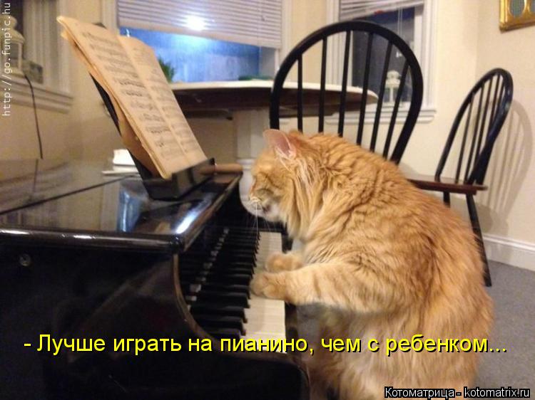 Котоматрица: - Лучше играть на пианино, чем с ребенком...