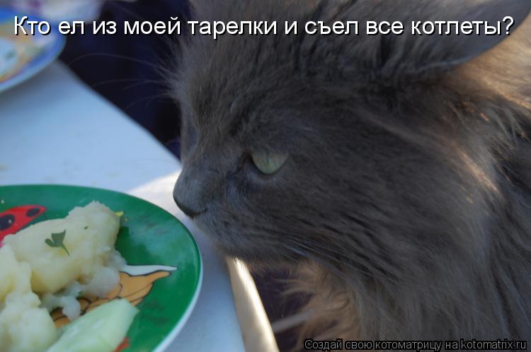 Кто ел из моей тарелки и съел все котлеты?... Котоматрица: Кто ел из моей тарелки и съел все котлеты?