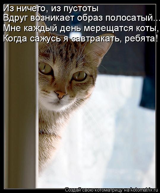 Котоматрица: Из ничего, из пустоты Вдруг возникает образ полосатый... Мне каждый день мерещатся коты, Когда сажусь я завтракать, ребята!