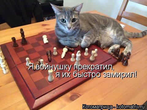 Котоматрица: Я войнушку прекратил,  я их быстро замирил!