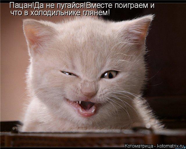 Котоматрица: Пацан!Да не пугайся!Вместе поиграем и  что в холодильнике глянем!