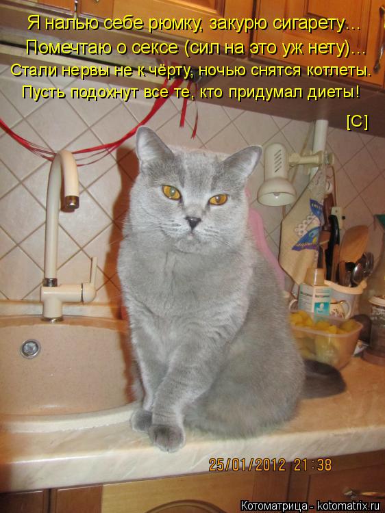 Котоматрица: Я налью себе рюмку, закурю сигарету…   Помечтаю о сексе (сил на это уж нету)…   Стали нервы не к чёрту, ночью снятся котлеты. [C] Пусть подохнут 
