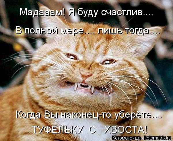 Мадааам! Я буду счастлив.... В полной мере.... лишь тогда.... Когда Вы наконец-то уберёте.... ТУФЕЛЬК... Котоматрица: Мадааам! Я буду счастлив.... В полной мере.... лишь тогда.... Когда Вы наконец-то уберёте.... ТУФЕЛЬКУ С ХВОСТА!