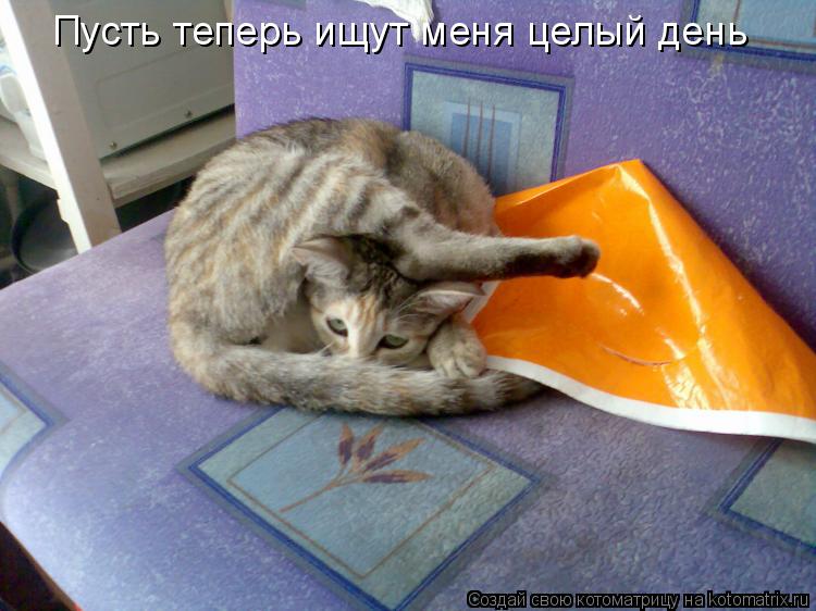 Пусть теперь ищут меня целый день... Котоматрица: Пусть теперь ищут меня целый день