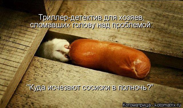 Котоматрица: Триллер-детектив для хозяев, сломавших голову над проблемой: "Куда исчезают сосиски в полночь?"