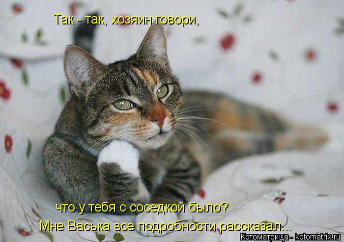 Так - так, хозяин говори, Так - так, хозяин говори, что у тебя с соседкой было? Мне Васька все подроб... Котоматрица: Так - так, хозяин говори, Так - так, хозяин говори, что у тебя с соседкой было? Мне Васька все подробности рассказал...