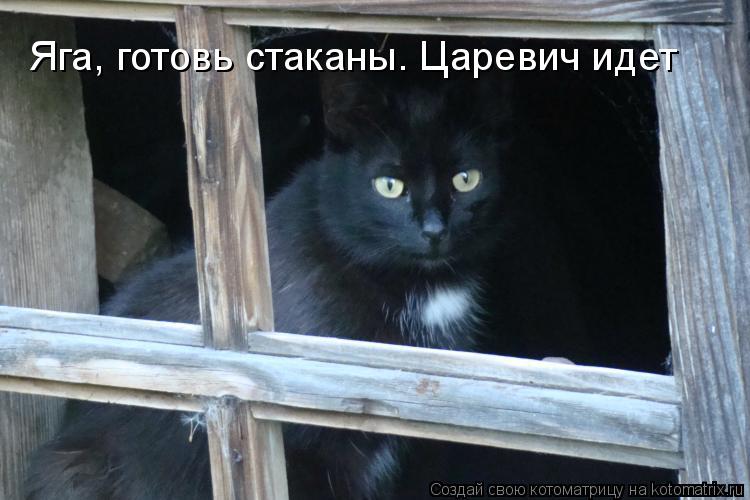 Яга, готовь стаканы. Царевич идет... Котоматрица: Яга, готовь стаканы. Царевич идет