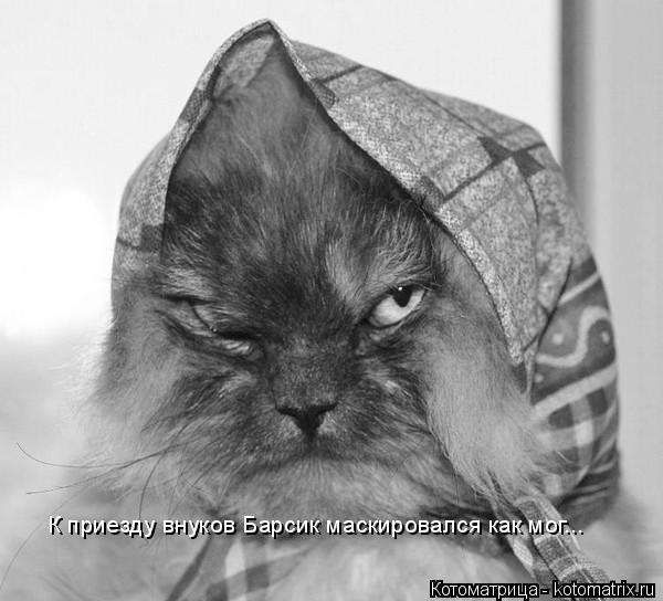 К приезду внуков Барсик маскировался как мог...... Котоматрица: К приезду внуков Барсик маскировался как мог...