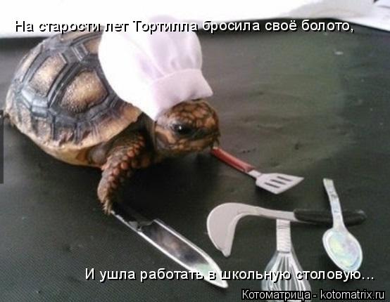На старости лет Тортилла бросила своё болото, И ушла работать в школьную столовую...... Котоматрица: На старости лет Тортилла бросила своё болото, И ушла работать в школьную столовую...