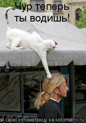 Чур теперь ты водишь!... Котоматрица: Чур теперь ты водишь!