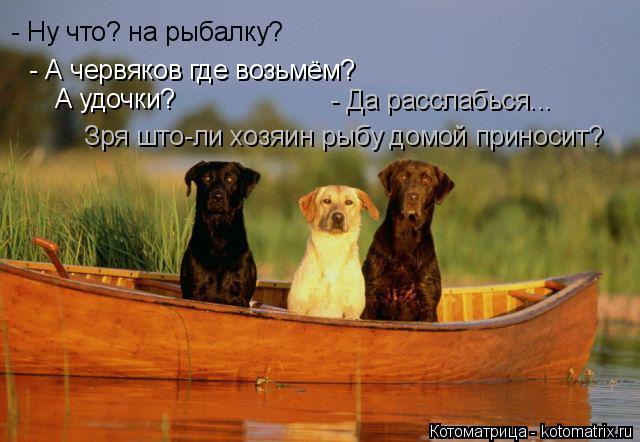 - Ну что? на рыбалку? - А червяков где возьмём? А удочки? - Да расслабься... Зря што-ли хозяин рыбу д... Котоматрица: - Ну что? на рыбалку? - А червяков где возьмём? А удочки? - Да расслабься... Зря што-ли хозяин рыбу домой приносит?