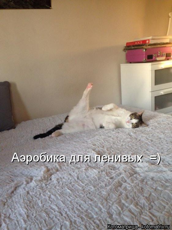 Аэробика для ленивых =)... Котоматрица: Аэробика для ленивых =)