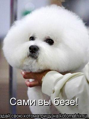 Сами вы безе!... Котоматрица: Сами вы безе!