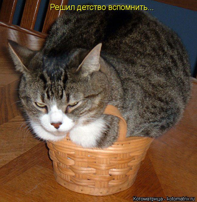 Котоматрица: Решил детство вспомнить...