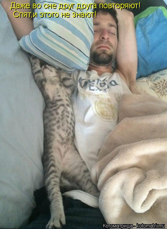 Даже во сне друг друга повторяют! Спят,и этого не знают!... Котоматрица: Даже во сне друг друга повторяют! Спят,и этого не знают!