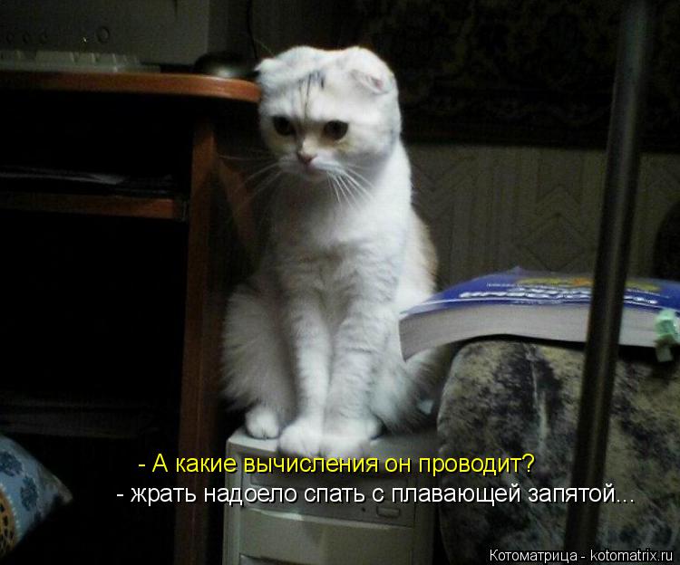 Котоматрица: - А какие вычисления он проводит? - жрать надоело спать с плавающей запятой...