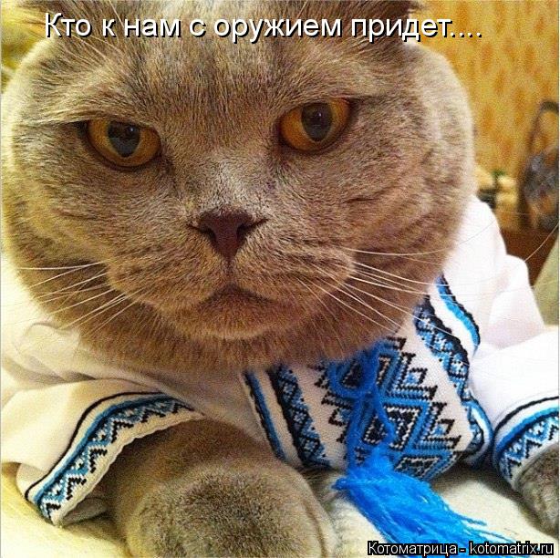 Котоматрица: Кто к нам с оружием придет....
