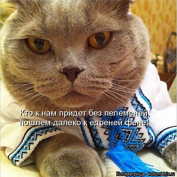 Котоматрица: Кто к нам придет без пелеменей,  пошлем далеко к едреней фене!
