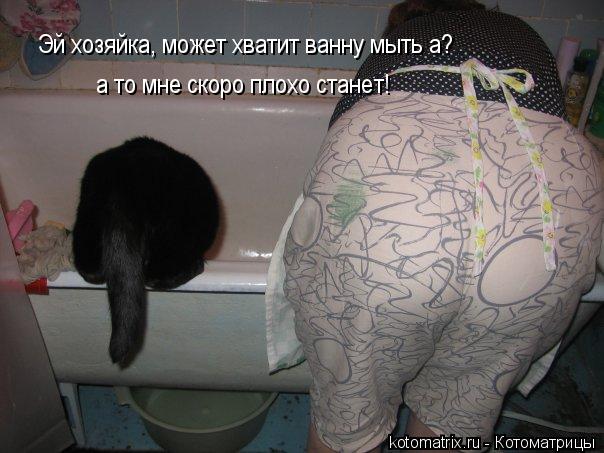 Котоматрица: Эй хозяйка, может хватит ванну мыть а? а то мне скоро плохо станет!