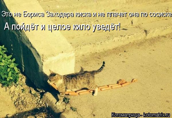 Это не Бориса Заходера киска и не плачет она по сосиске. А пойдёт и целое кило уведёт!... Котоматрица: Это не Бориса Заходера киска и не плачет она по сосиске. А пойдёт и целое кило уведёт!