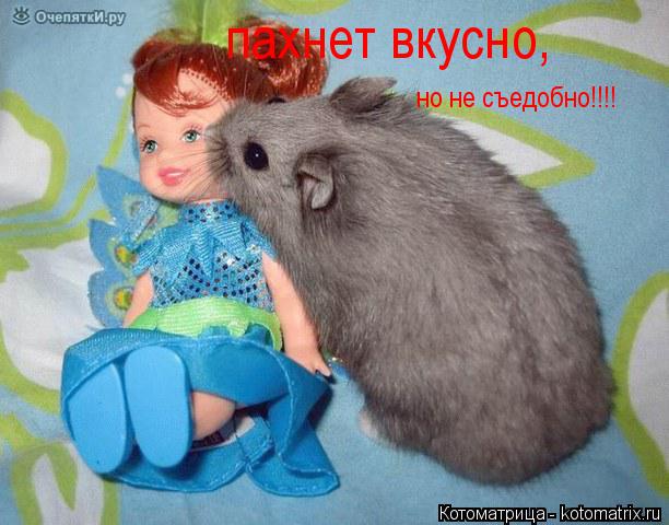 пахнет вкусно, но не съедобно!!!!... Котоматрица: пахнет вкусно, но не съедобно!!!!