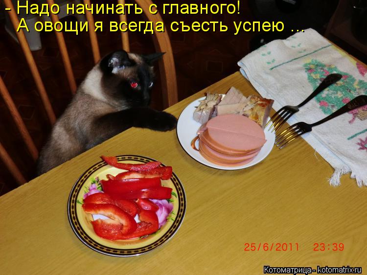 - Надо начинать с главного! А овощи я всегда съесть успею ...... Котоматрица: - Надо начинать с главного! А овощи я всегда съесть успею ...