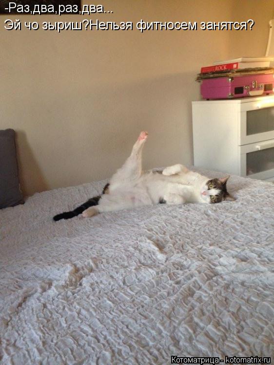 Котоматрица: -Раз,два,раз,два... Эй чо зыриш?Нельзя фитносем занятся?