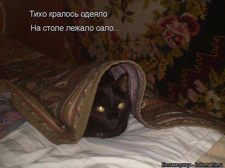 Тихо кралось одеяло На столе лежало сало...... Котоматрица: Тихо кралось одеяло На столе лежало сало...