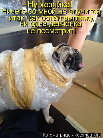 Котоматрица: - Ну хозяйка!  Ничего со мной не случится. ни одна девчонка  не посмотрит! итак, как ботан выгляжу,