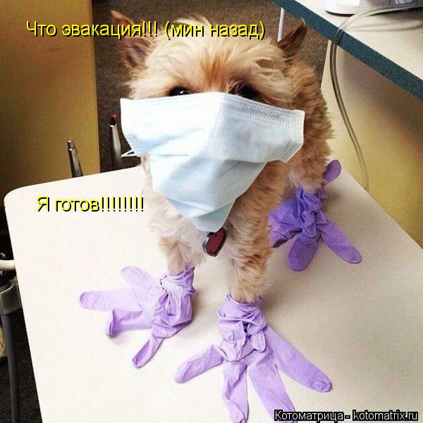 Я готов!!!!!!!! Что эвакация!!! (мин назад)... Котоматрица: Я готов!!!!!!!! Что эвакация!!! (мин назад)