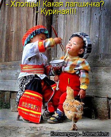 Котоматрица: - Хлопцы! Какая лапшичка? - Куриная!!! !