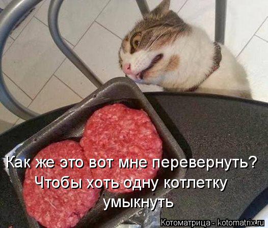 Котоматрица: Как же это вот мне перевернуть? Чтобы хоть одну котлетку умыкнуть