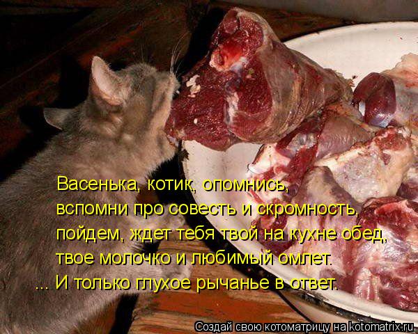 вспомни про совесть и скромность, Васенька, котик, опомнись, пойдем, ждет тебя твой на кухне обед, тв... Котоматрица: вспомни про совесть и скромность, Васенька, котик, опомнись, пойдем, ждет тебя твой на кухне обед, твое молочко и любимый омлет. ... И только гл