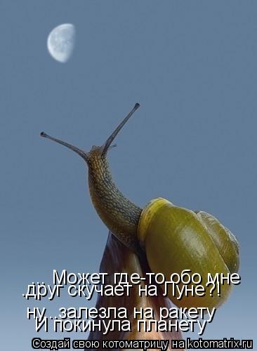 Котоматрица: ... Может где-то обо мне  .друг скучает на Луне?! ну...залезла на ракету И покинула планету