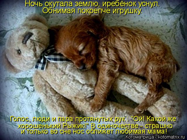 Ночь окутала землю, иребёнок уснул. Обнимая покрепче игрушку. и только во сне нос оближет любимая мам... Котоматрица: Ночь окутала землю, иребёнок уснул. Обнимая покрепче игрушку. и только во сне нос оближет любимая мама! Голос, люди и пара протянутых рук : "О