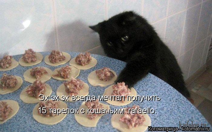 Котоматрица: Эх эх эх всегда мечтал получить 15 тарелок с кошачьим :rafaello:
