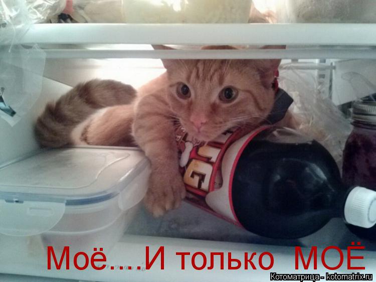 Котоматрица: Моё....И только  МОЁ