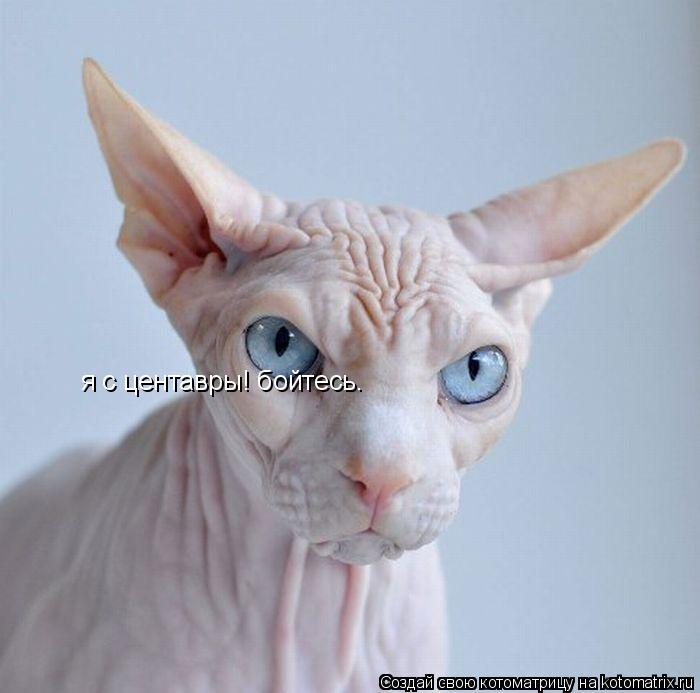 Котоматрица: я с центавры! бойтесь.