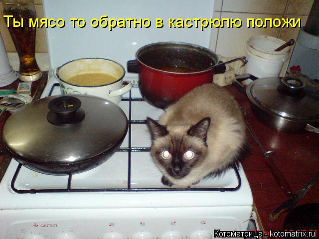 Котоматрица: Ты мясо то обратно в кастрюлю положи